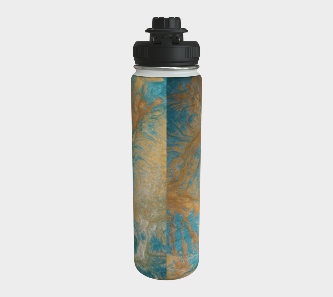 Stainless Steel Water Bottle