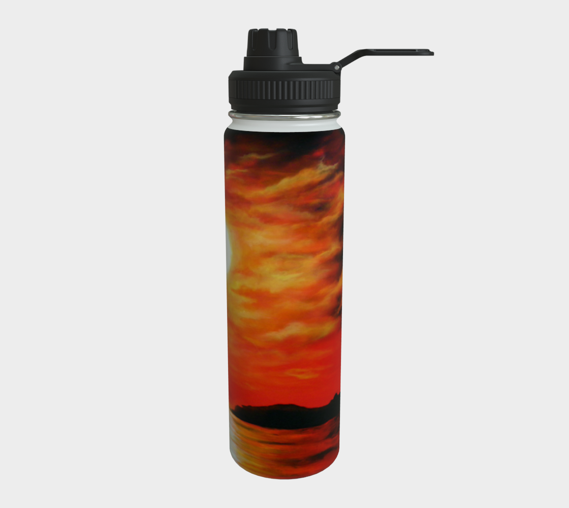 Stainless Steel Water Bottle