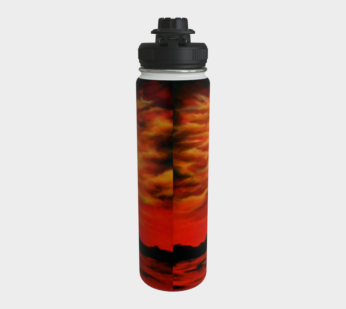 Stainless Steel Water Bottle