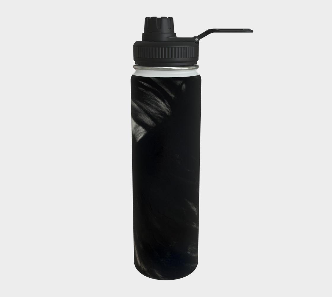 Stainless Steel Water Bottle