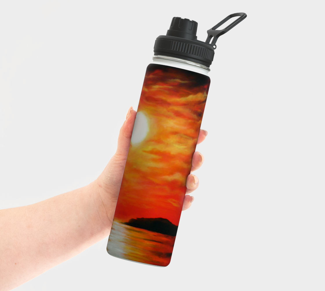 Stainless Steel Water Bottle