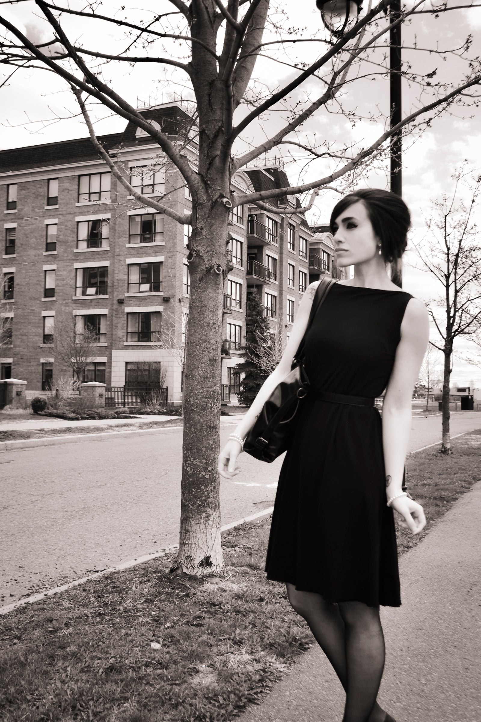 Crow Reversible Dress