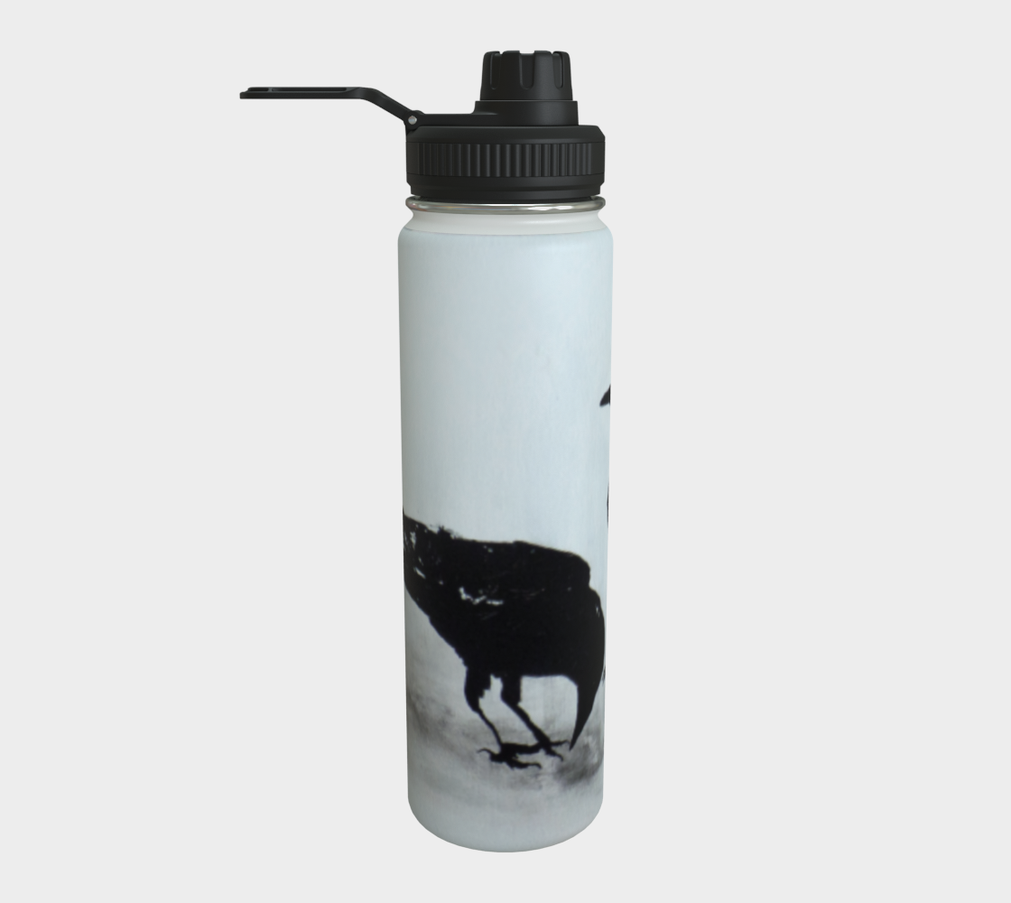 Stainless Steel Water Bottle