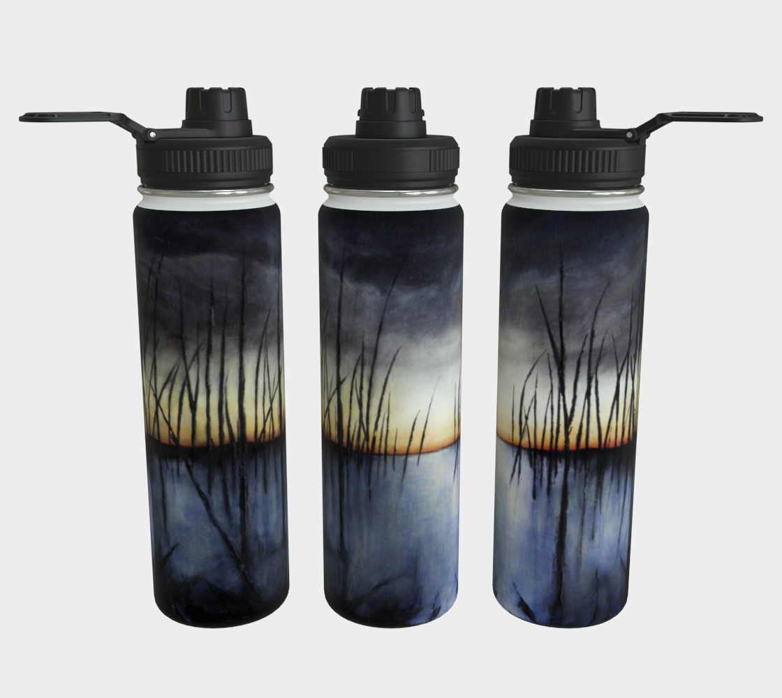 Stainless Steel Water Bottle