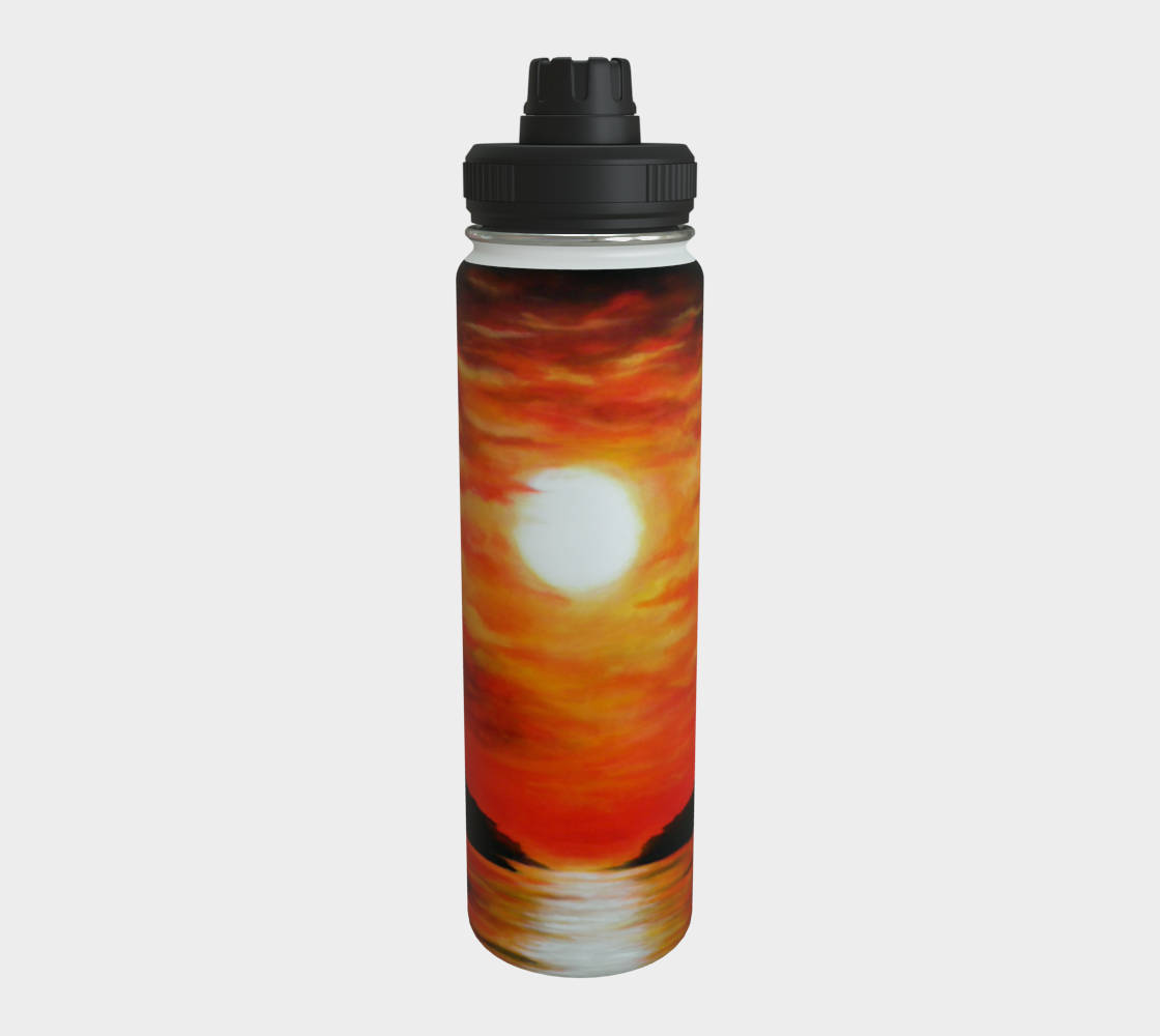Stainless Steel Water Bottle