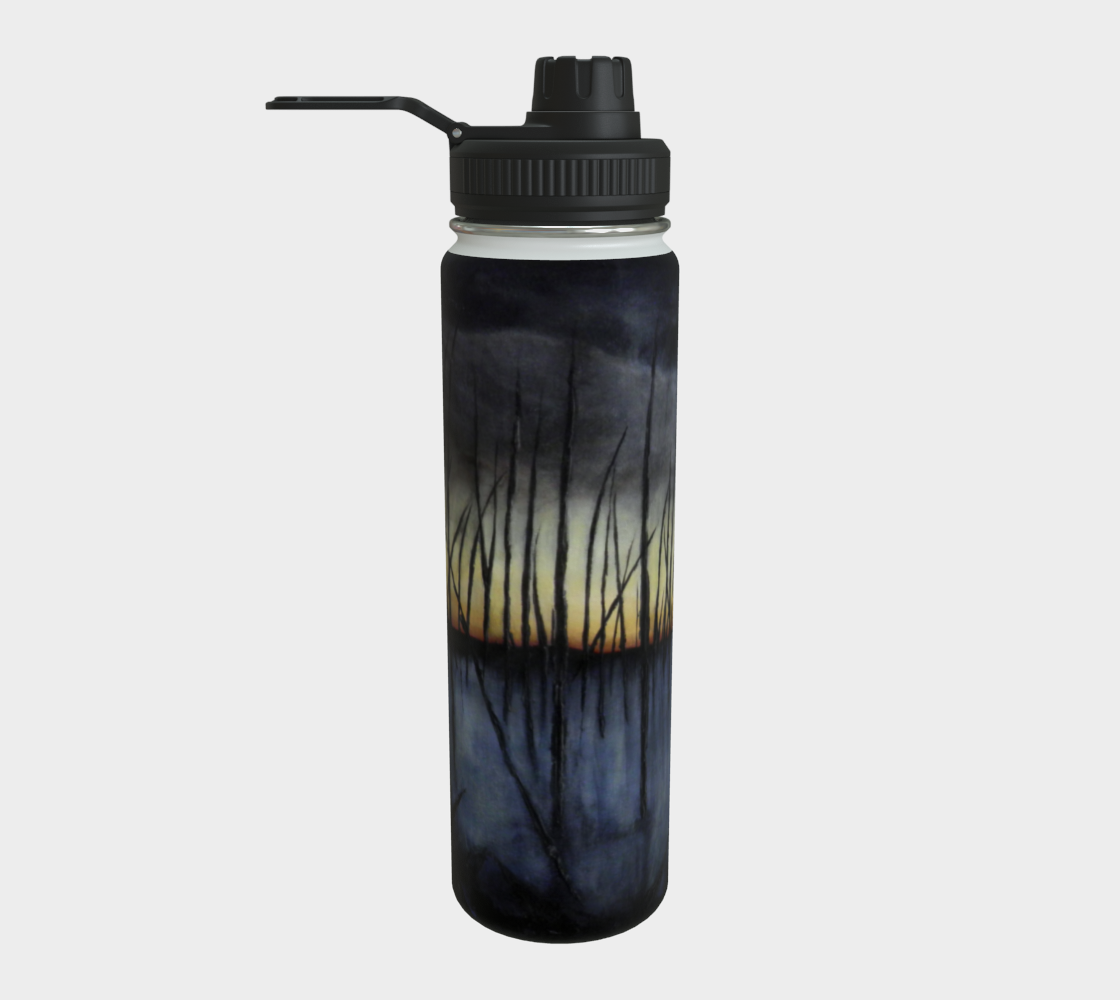 Stainless Steel Water Bottle