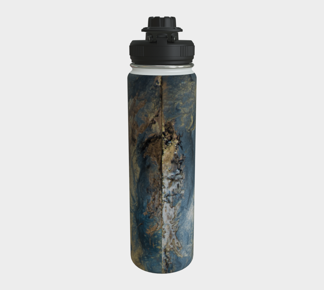 Stainless Steel Water Bottle