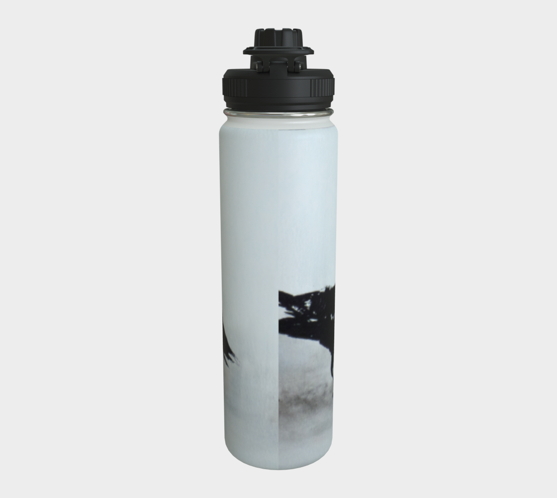 Stainless Steel Water Bottle