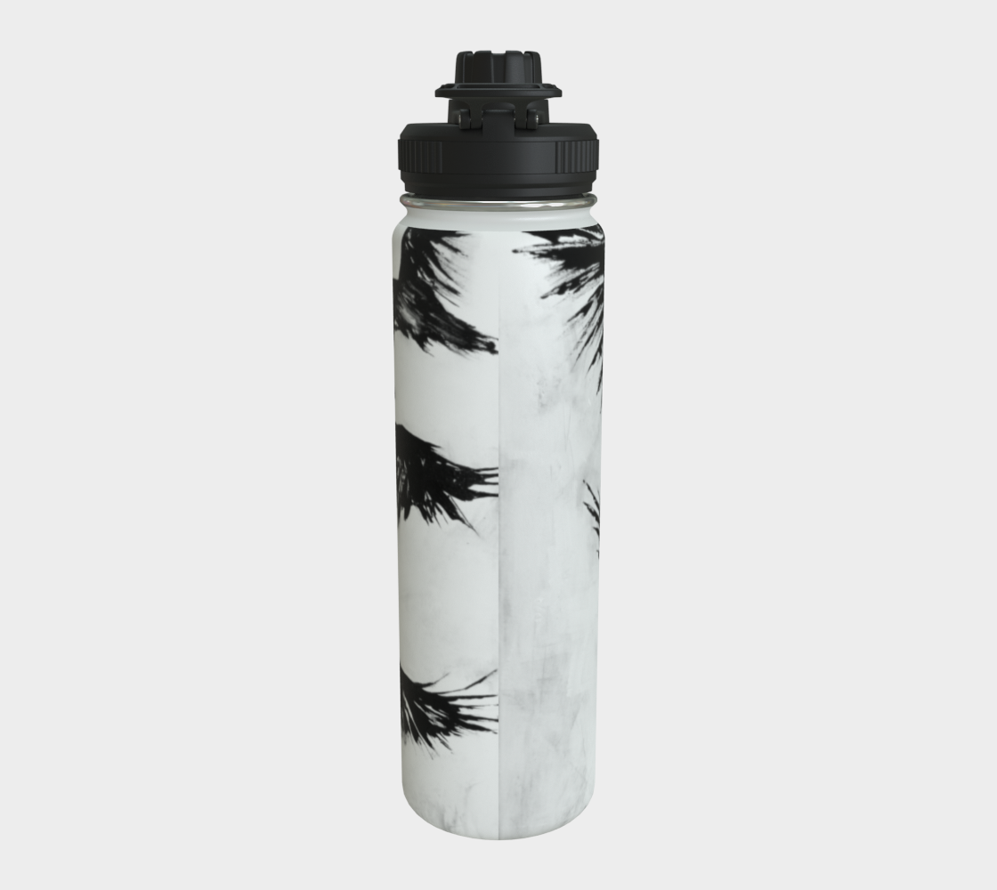 Stainless Steel Water Bottle
