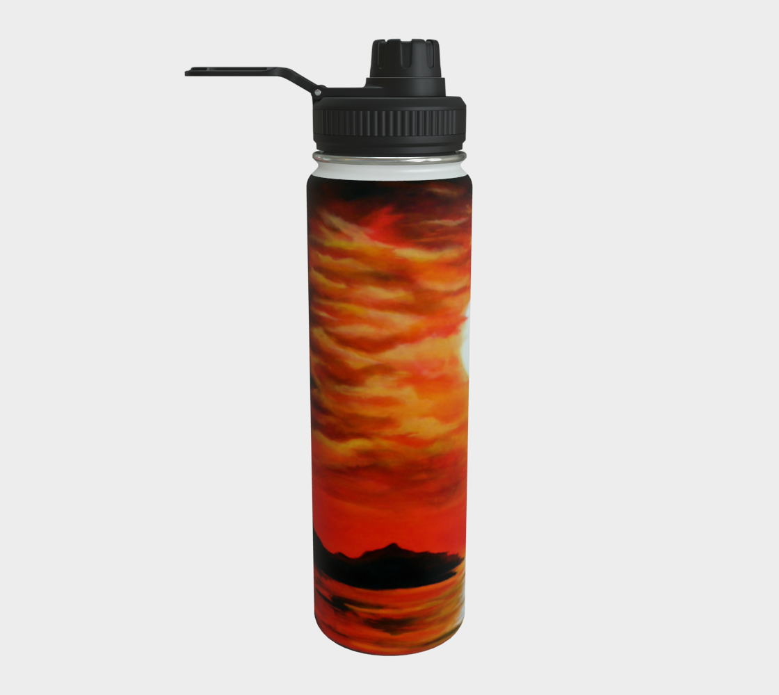 Stainless Steel Water Bottle
