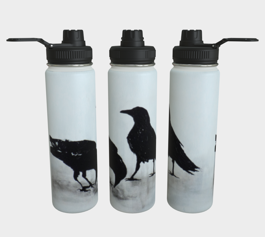 Stainless Steel Water Bottle