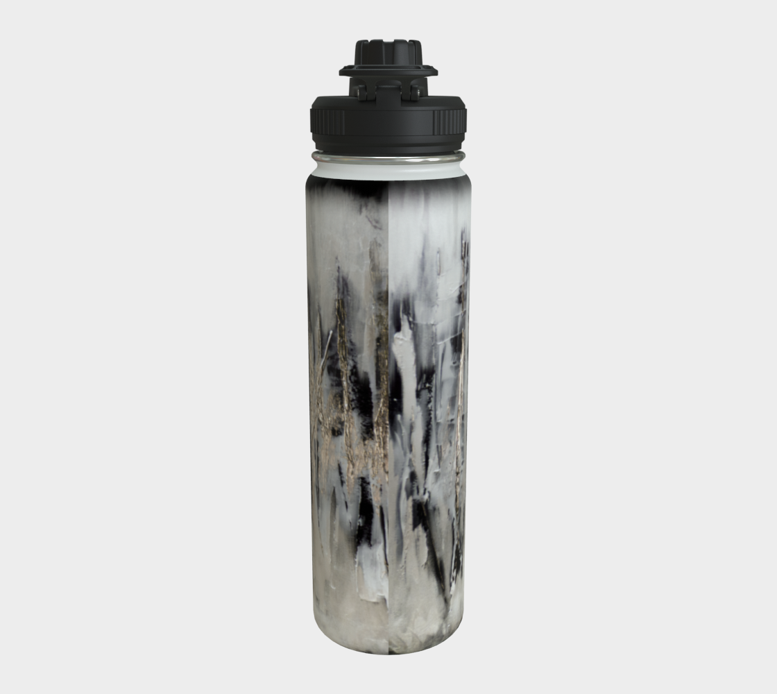 Stainless Steel Water Bottle