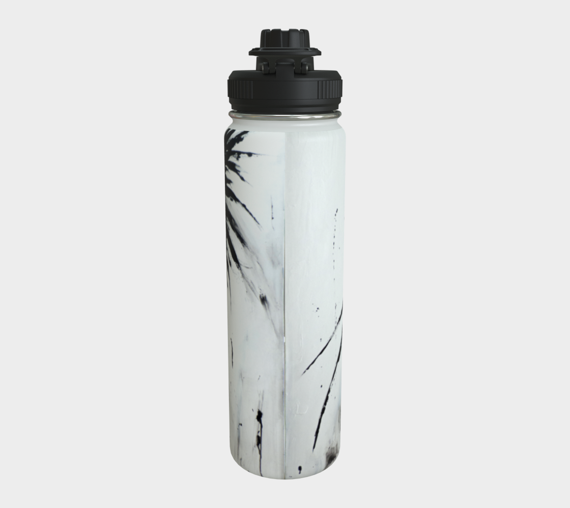 Stainless Steel Water Bottle