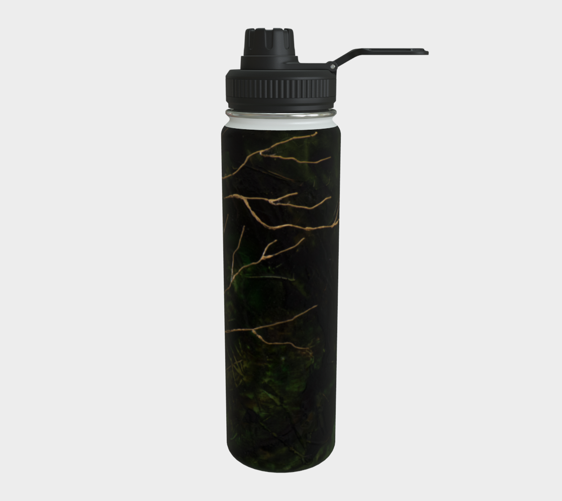 Stainless Steel Water Bottle