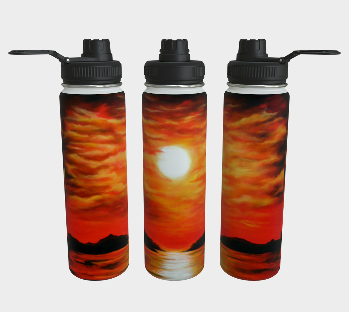 Stainless Steel Water Bottle