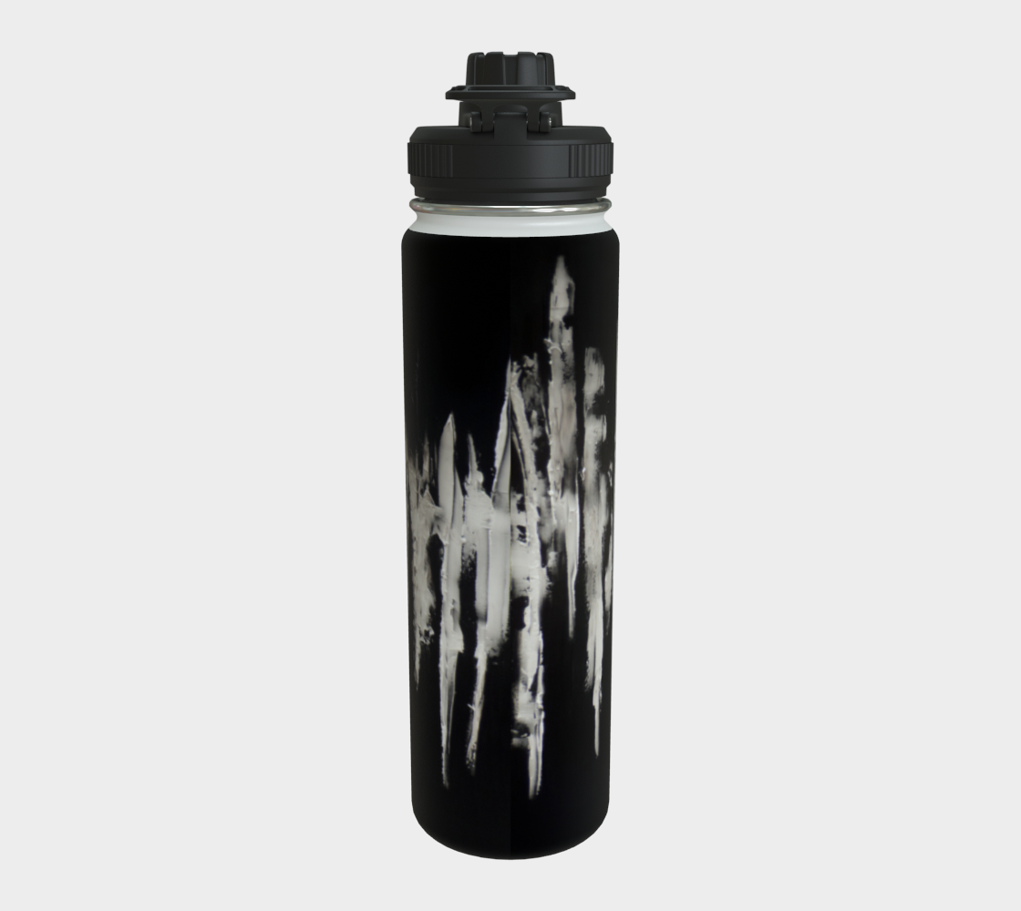 Stainless Steel Water Bottle