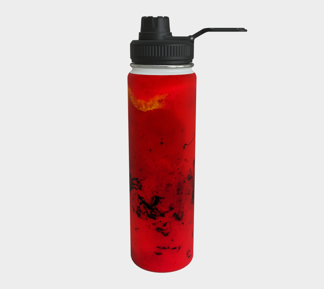 Stainless Steel Water Bottle