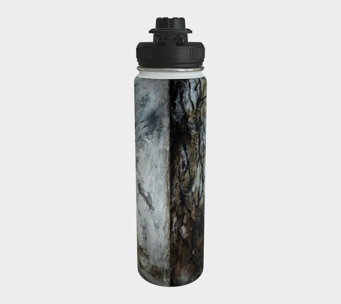 Stainless Steel Water Bottle