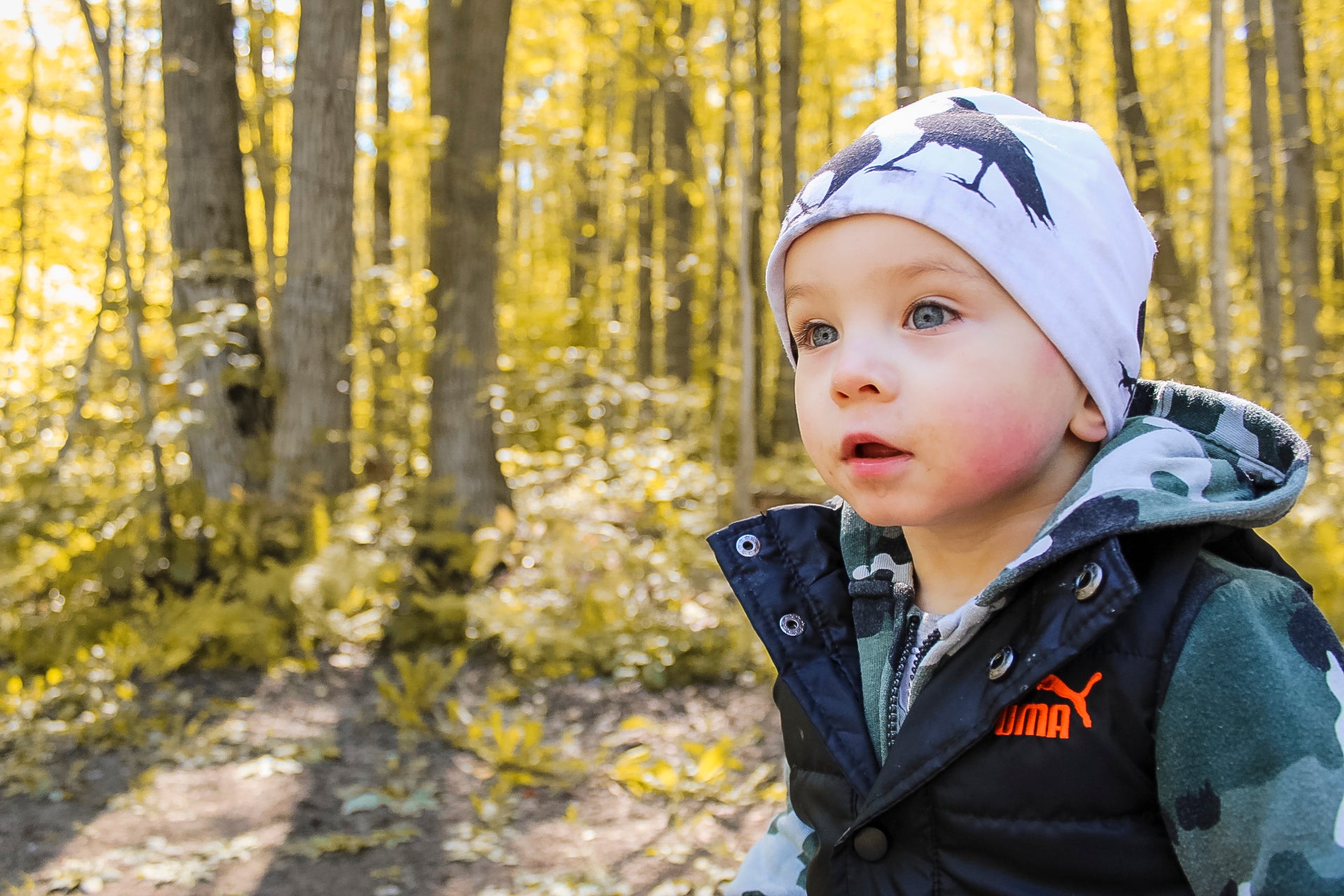 Crows XVIII Beanie