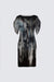 Tulip Sleeve Dress