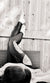 Silver Sage High Waist Leggings