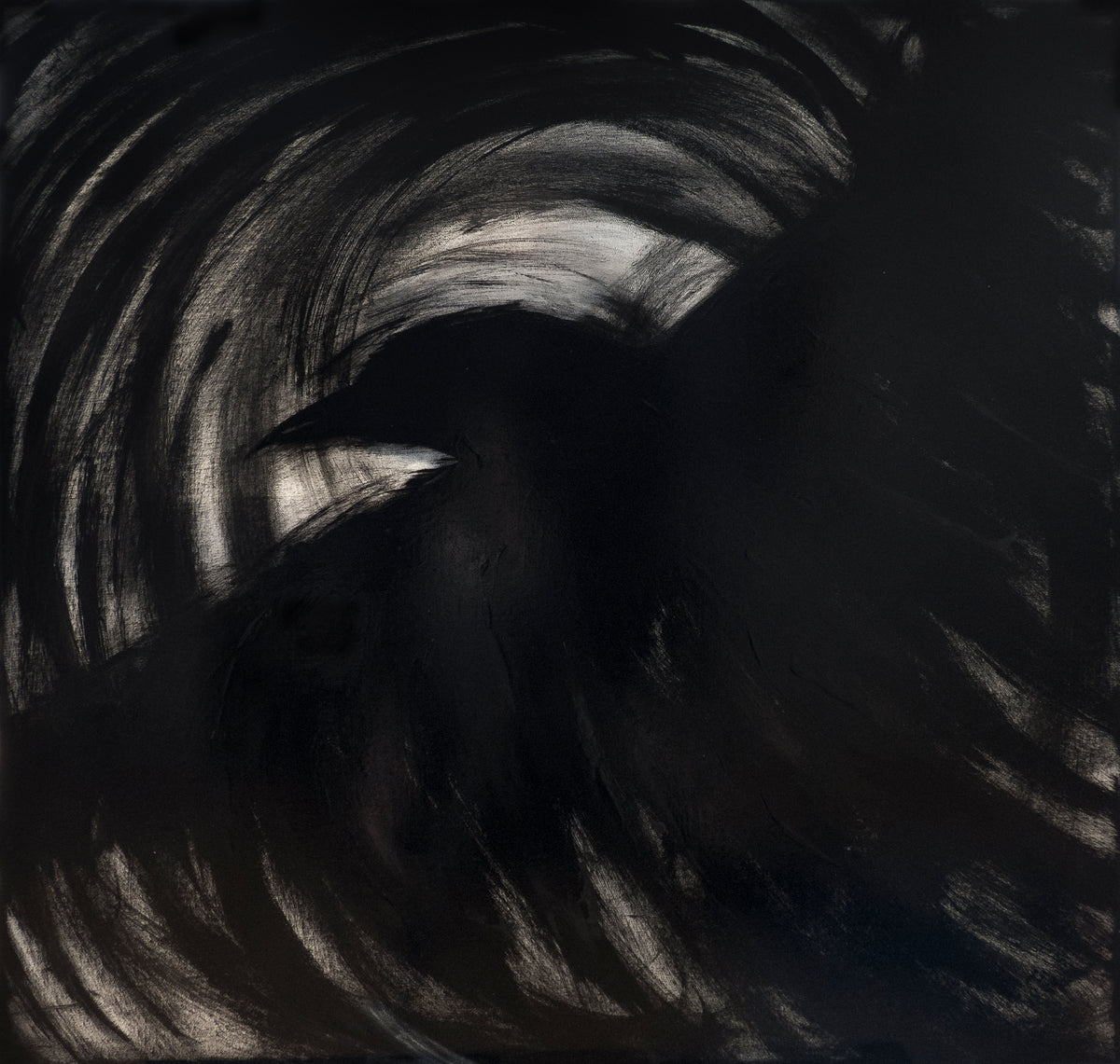 The Crows VIII