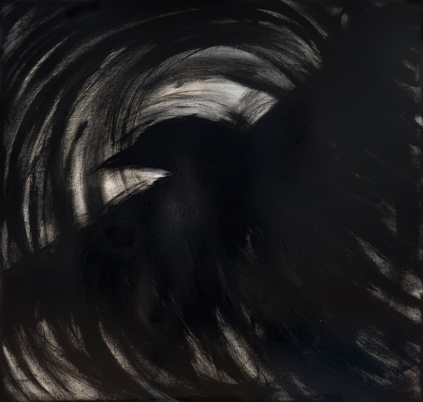 The Crows VIII